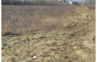 Property photo 8 - East Allen County Land Auction - 40 Acres in 2 Tracts
